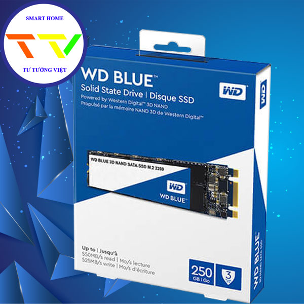 Ổ CỨNG SSD WD BLUE 250GB M.2 - CHÍNH HÃNG QUẢNG NGÃI