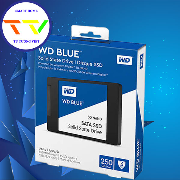 Ổ cứng SSD WD Blue 250GB SATA 3 - Chính Hãng Quảng Ngãi