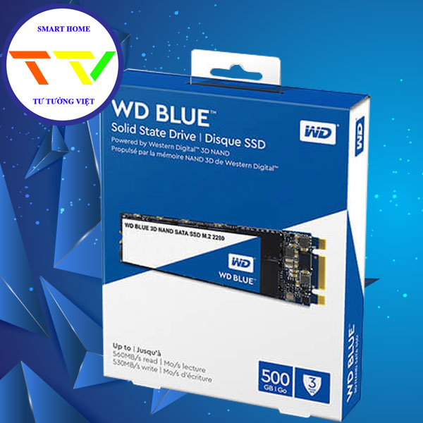 Ổ CỨNG SSD WD BLUE 500GB M.2 - CHÍNH HÃNG QUẢNG NGÃI