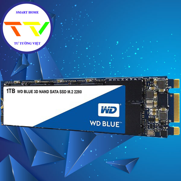 Ổ CỨNG SSD WD BLUE 1TB M2 - CHÍNH HÃNG QUẢNG NGÃI